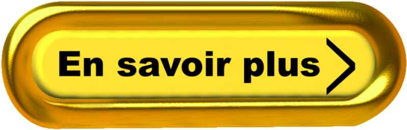 Bouton En Savoir Plus