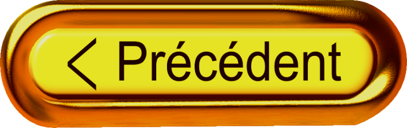 Bouton précédent.