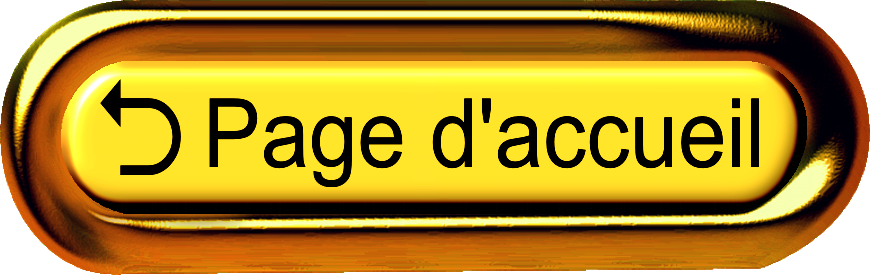 Bouton page d'accueil.