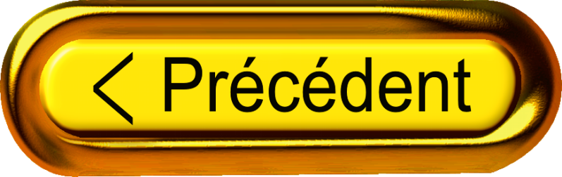Bouton précédent.