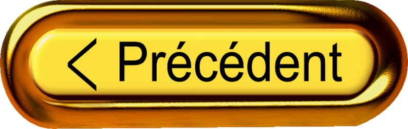 Bouton précédent.