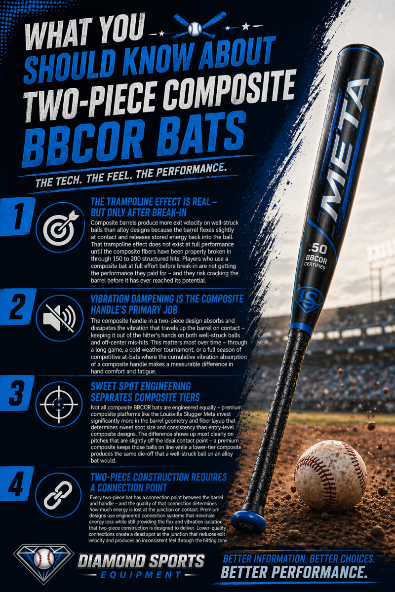 Two-piece composite BBCOR bats “What You Should Know” infographic covering break-in, vibration dampening, sweet spot engineering, and connection systems with DSE branding.