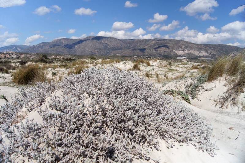 Elafonissi Kreta Griekenland