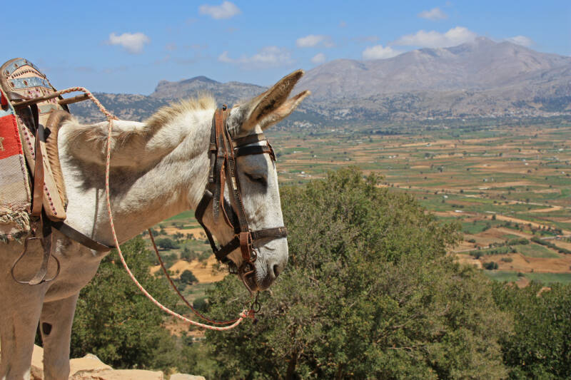 Lassithi plateau, Kreta