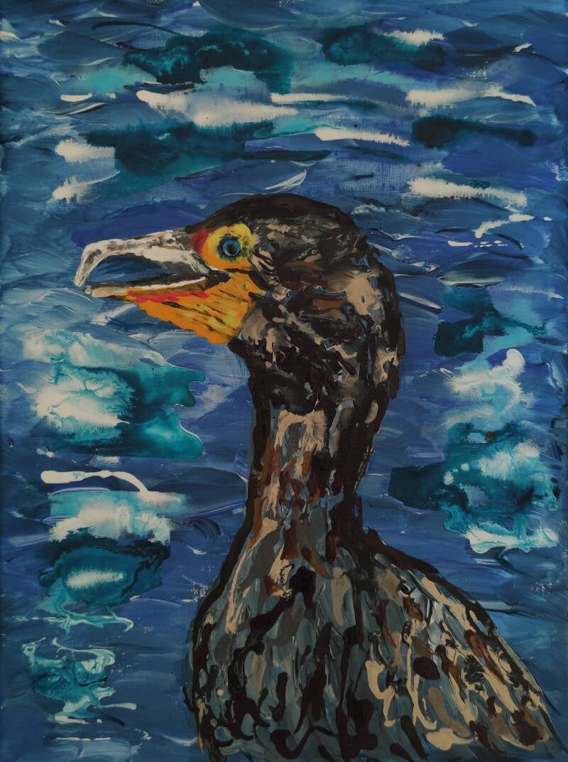 Kormoran vor Wasser