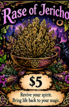 Rose of Jericho