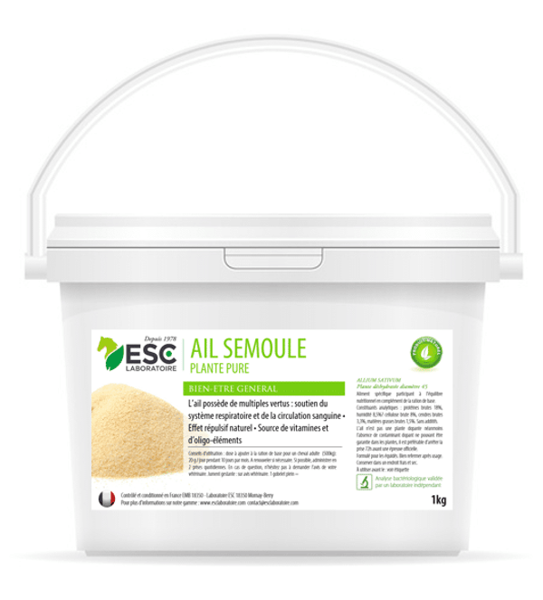 Ail semoule