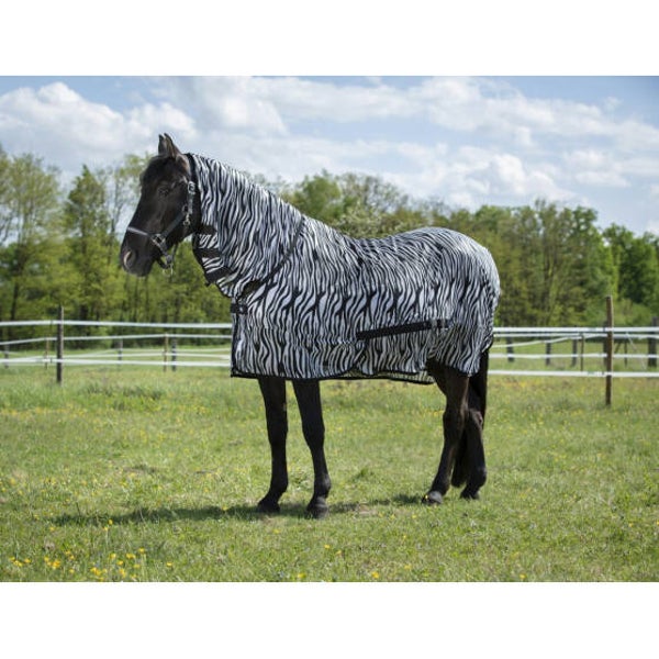 Chemise Filet Combo Zèbre Riding World