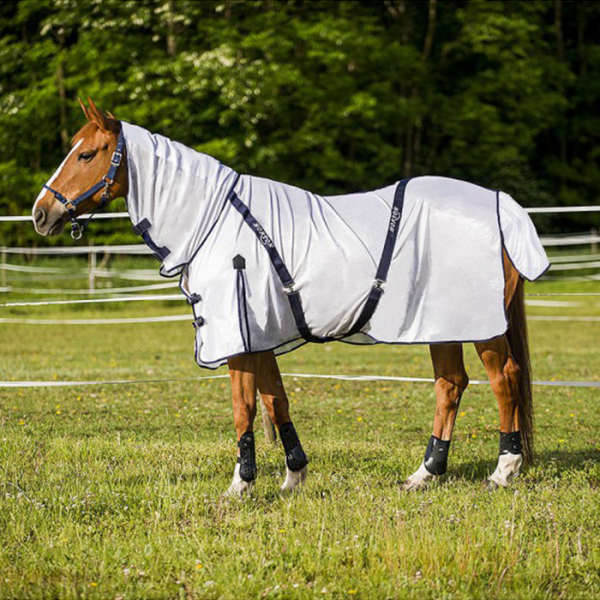 Chemise filet Combo Blanc Equithème