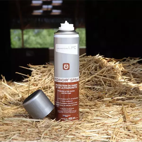 Pedinoir sptay 400ml LPC