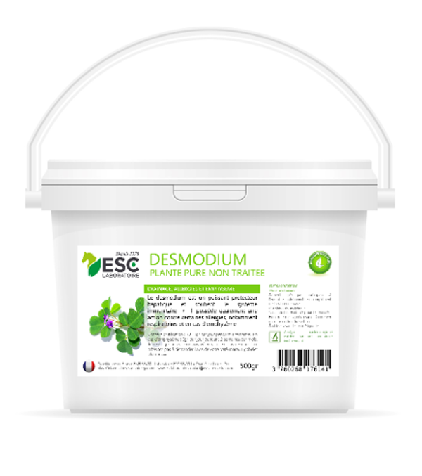Desmodium