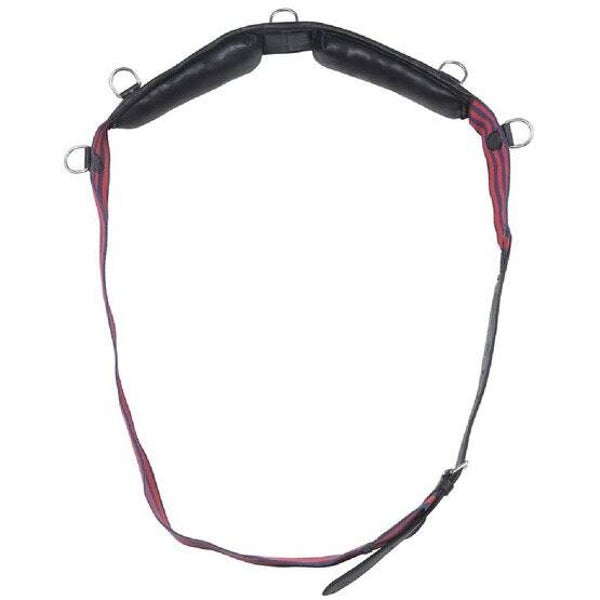 Surfaix sangle anneaux Club Norton