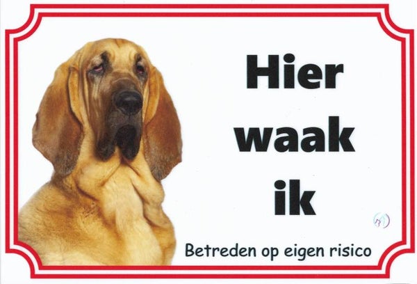 Bloedhond