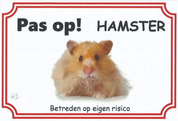 Goudhamster langharig