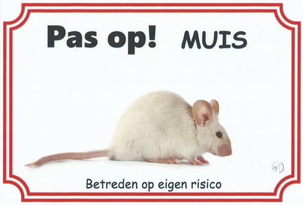Muis