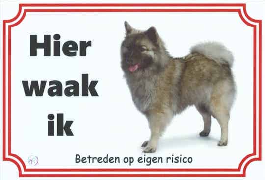 Keeshond