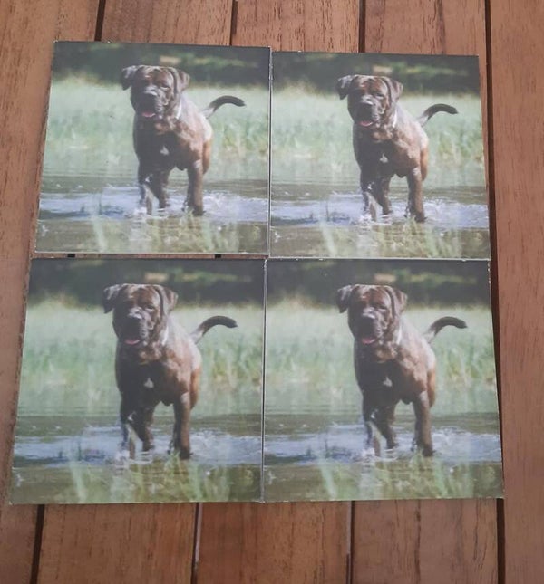Onderzetters met eigen foto