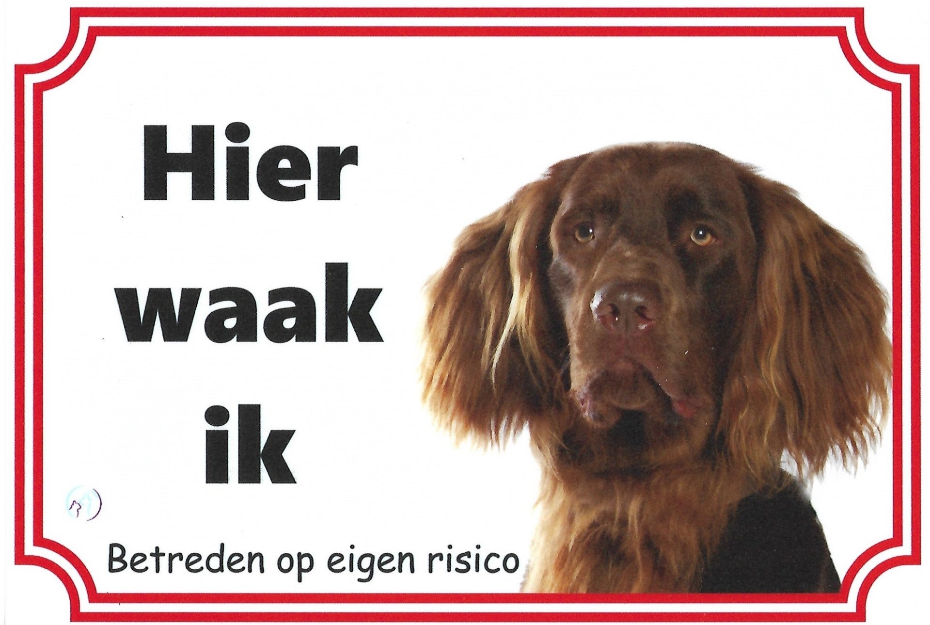 Duitse Staander langhaar