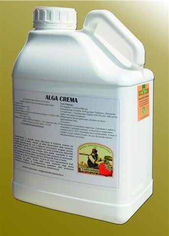 Alga Crema 5 kg