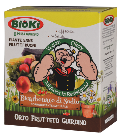 Bicarbonato di sodio, astuccio 900 g