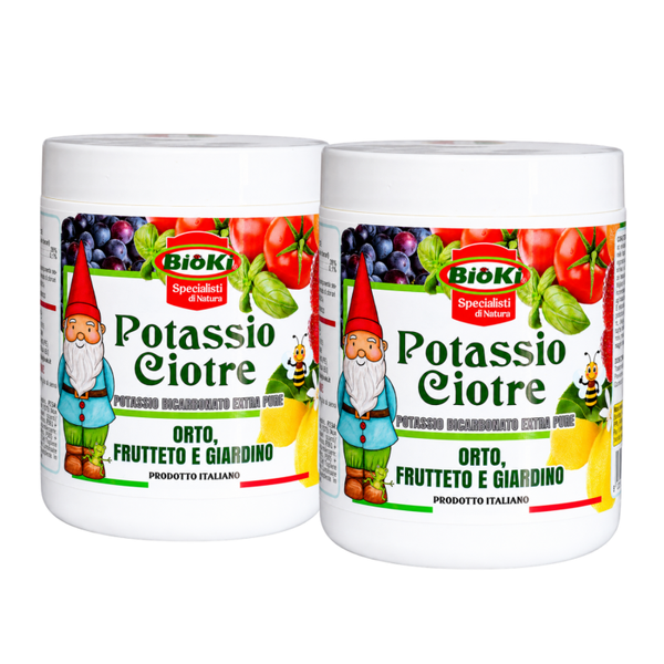 Potassio ciotre 2 x 500 g