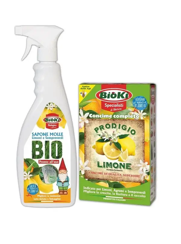 Kit Limoni sani e Belli
