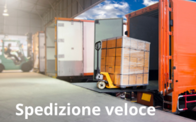 Sealeaf Origin Estratto D'alga Ascophyllum Nodosum 5L