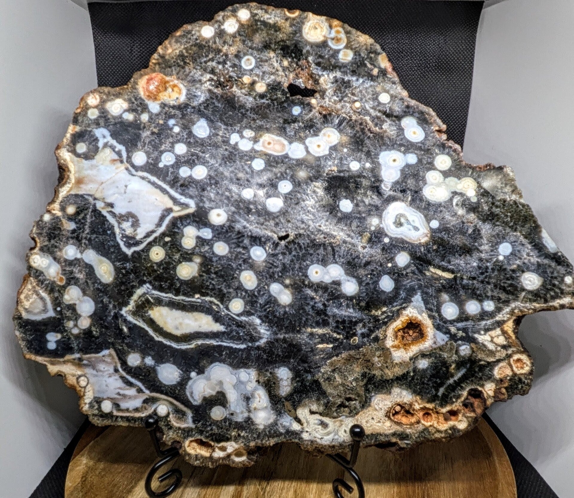 Ocean Jasper slab
