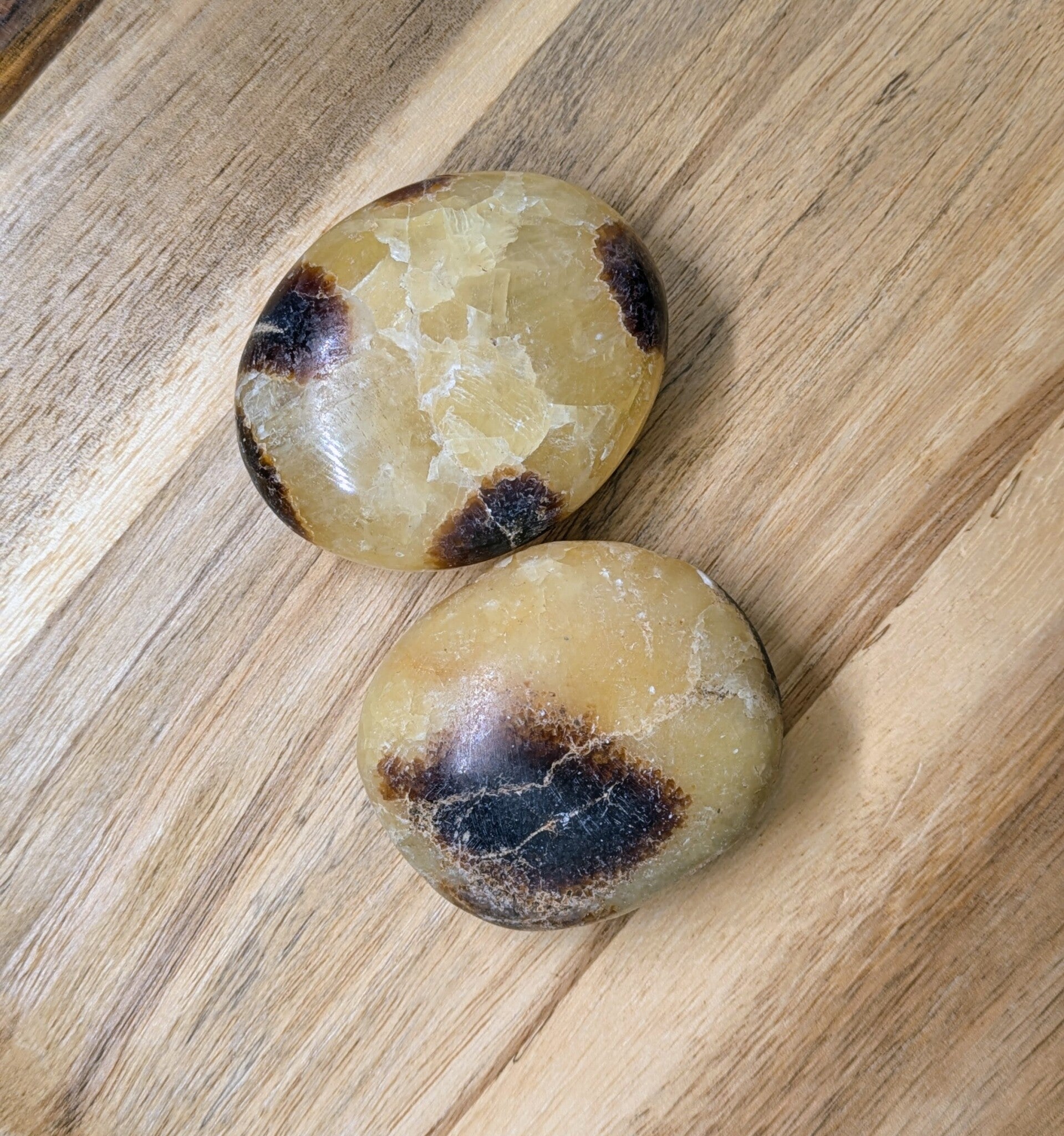 Septarian palmstone