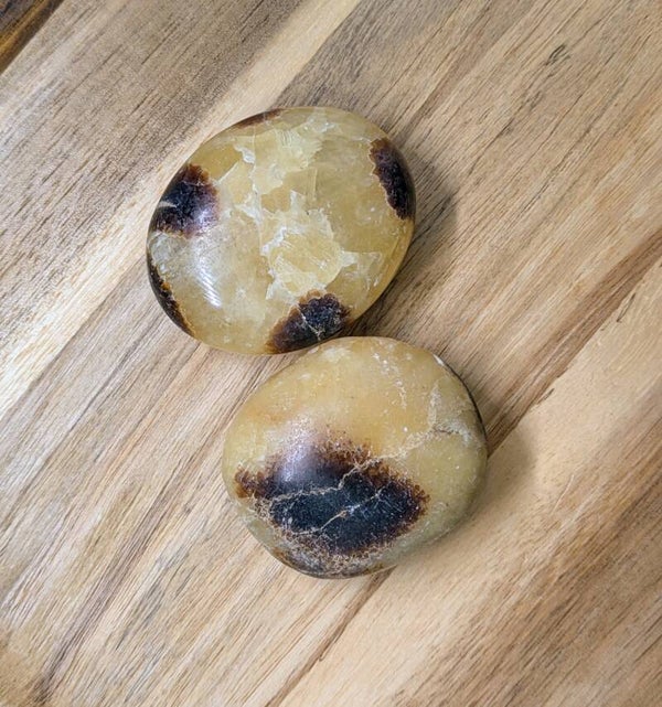 Septarian palmstone