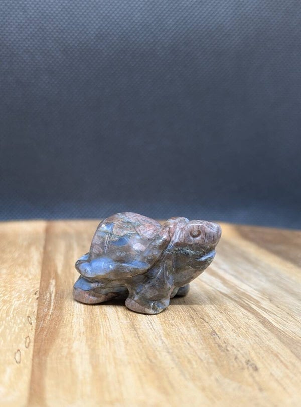 Turtle carving