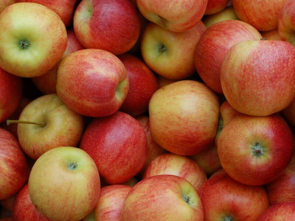 Jonagold appelen 1 kg