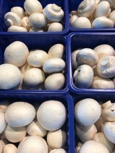 Champignons 250gr