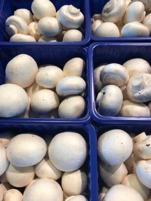 Champignons 250gr