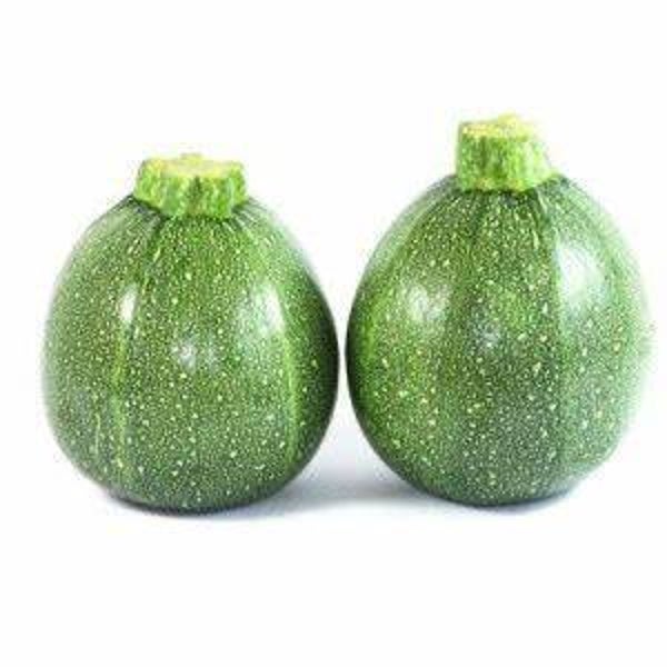 Ronde courgette