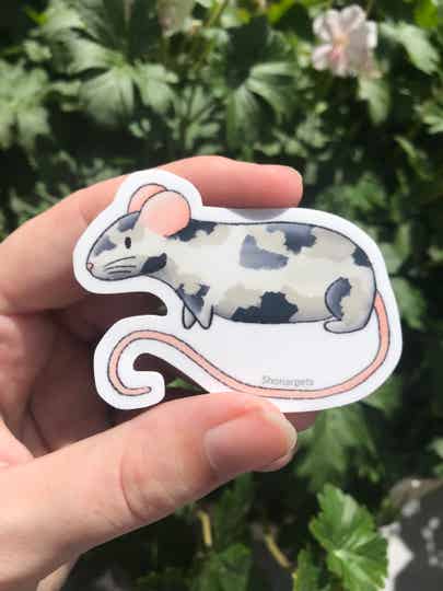 Muizen variatie sticker