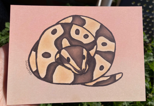 Konings python mini print