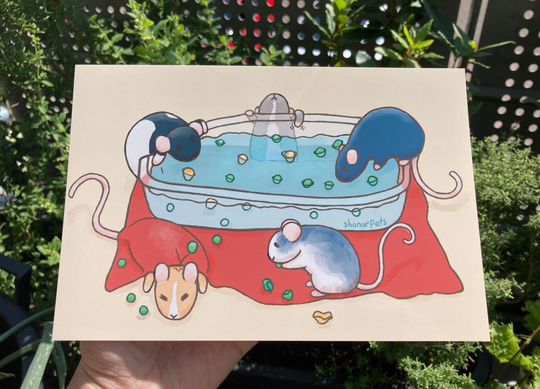 Erwten vissende ratten poster