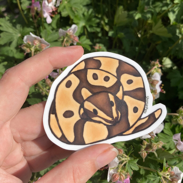 Ball python sticker