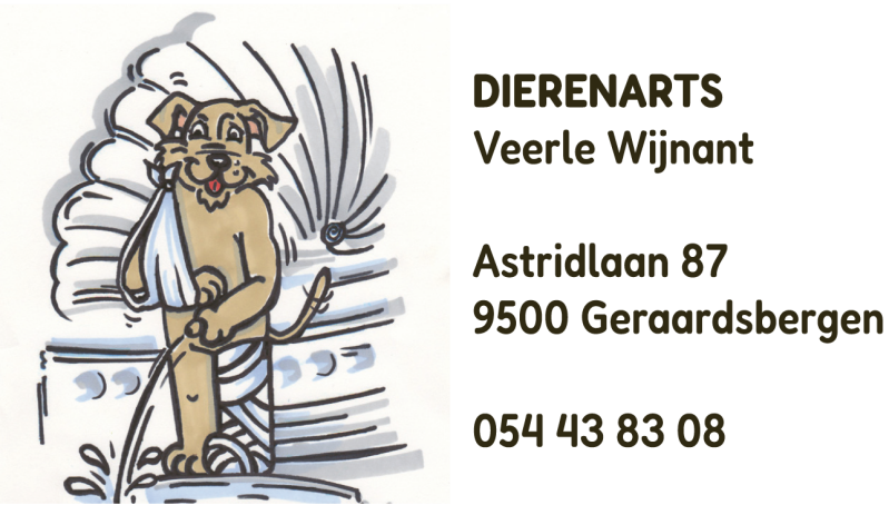 dierenarts-standard.png