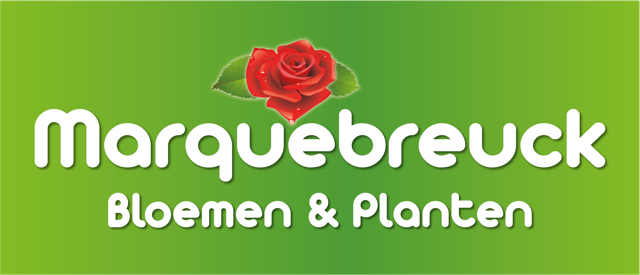 marquebreucklogoblok.png