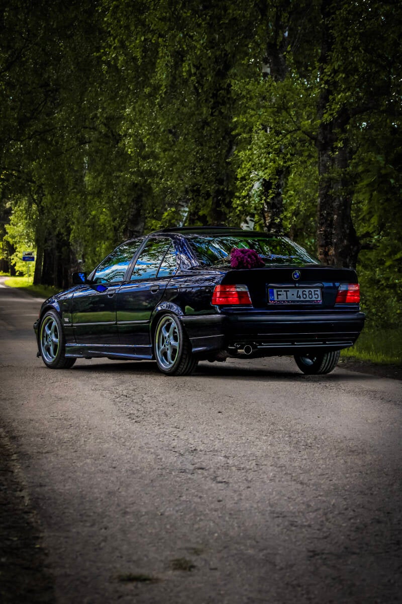 img_0518-standard.jpg