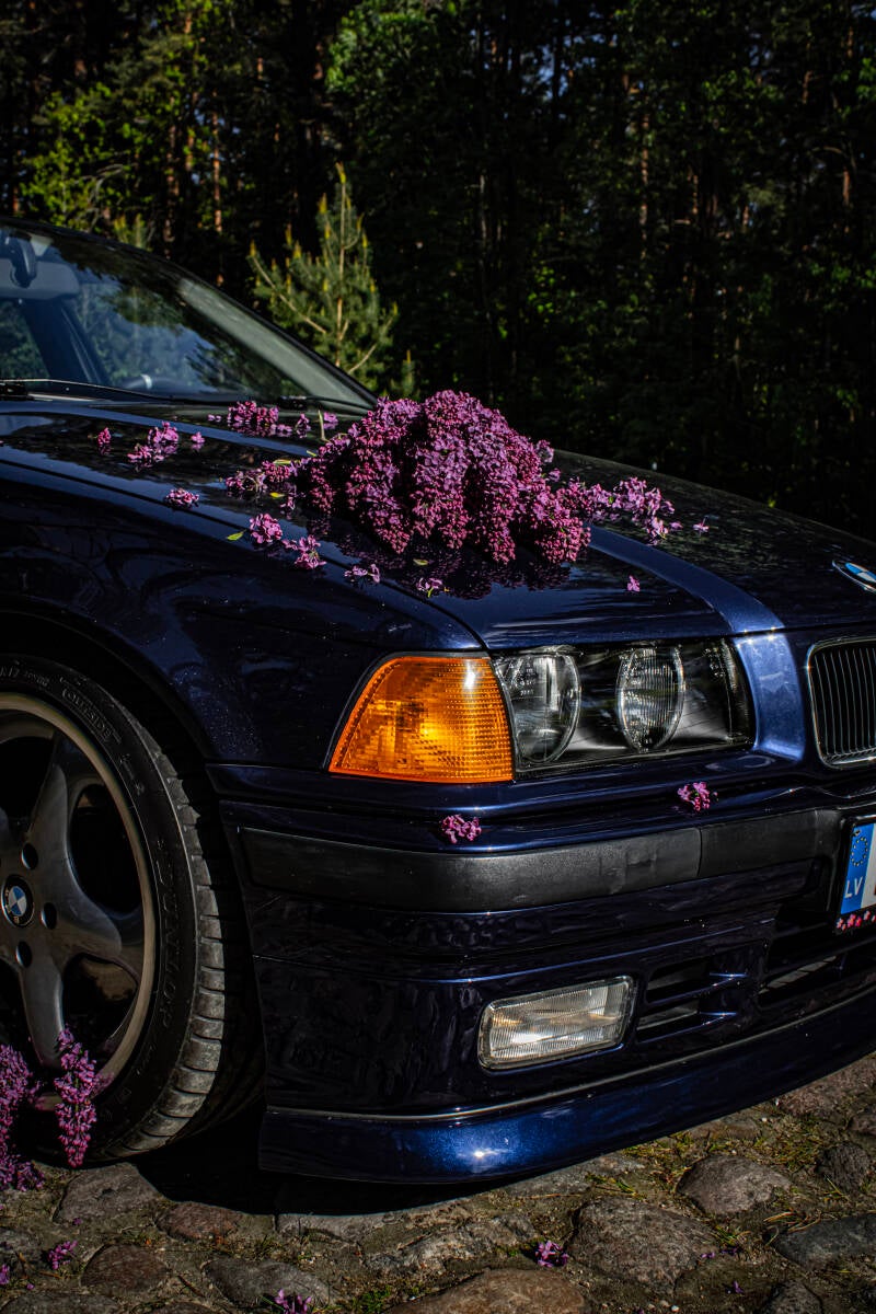 img_0691-standard.jpg