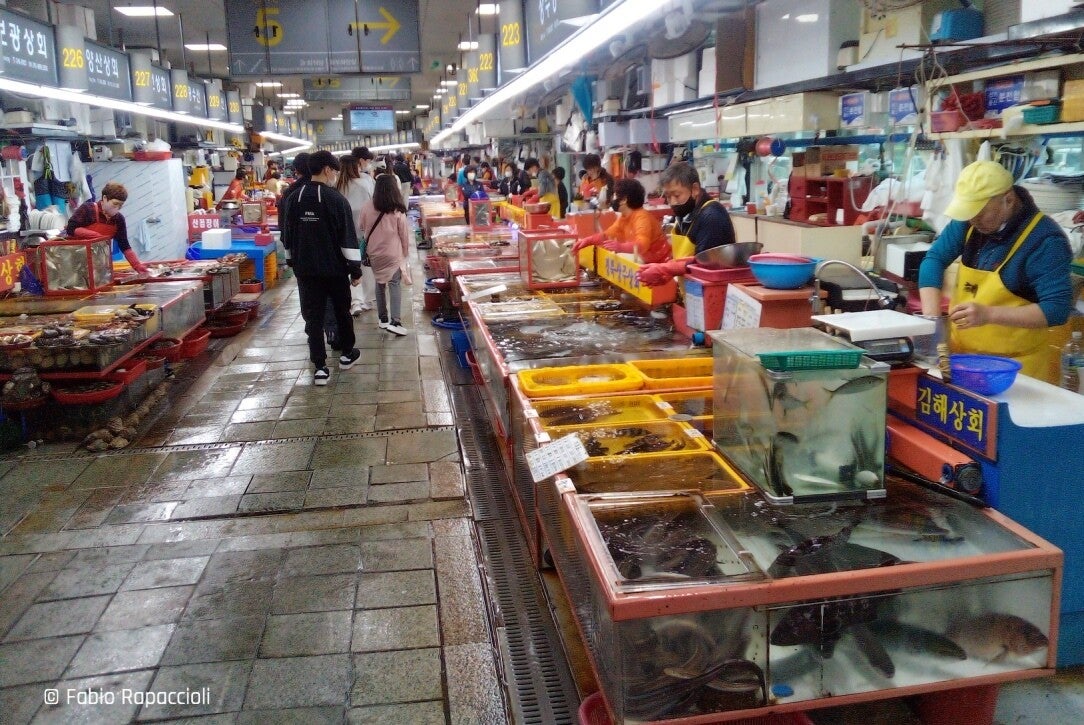 marché aux poisson de Busan en Corée du Sud