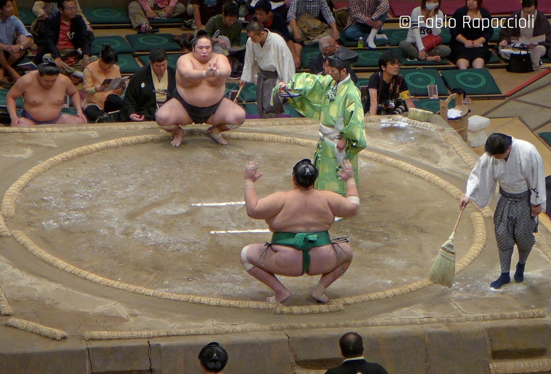tournoi de sumo au Japon