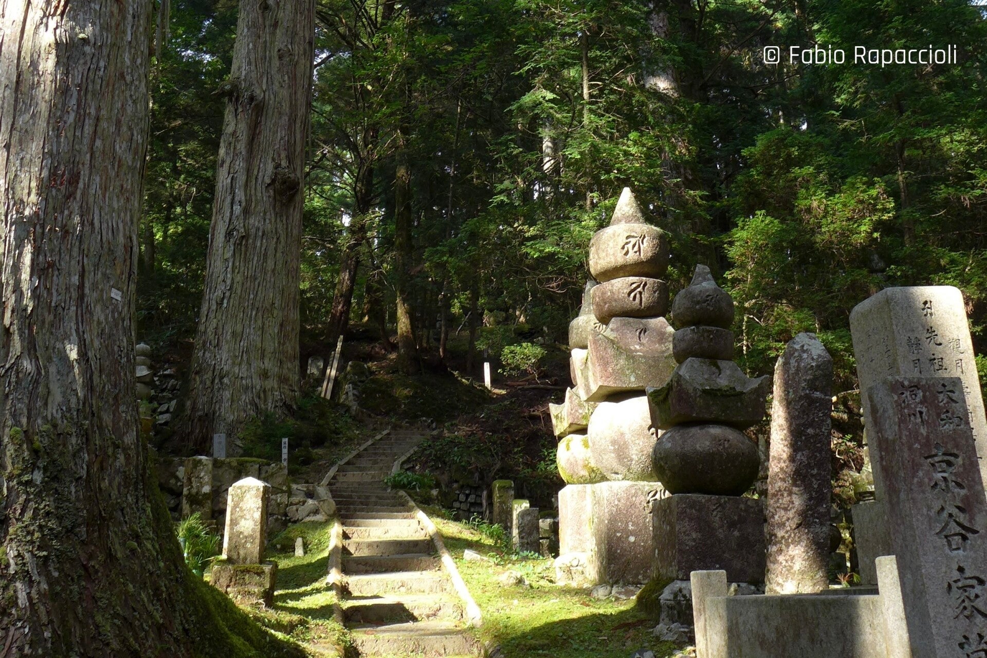 pierres tombales dans la forêt de Koya-san