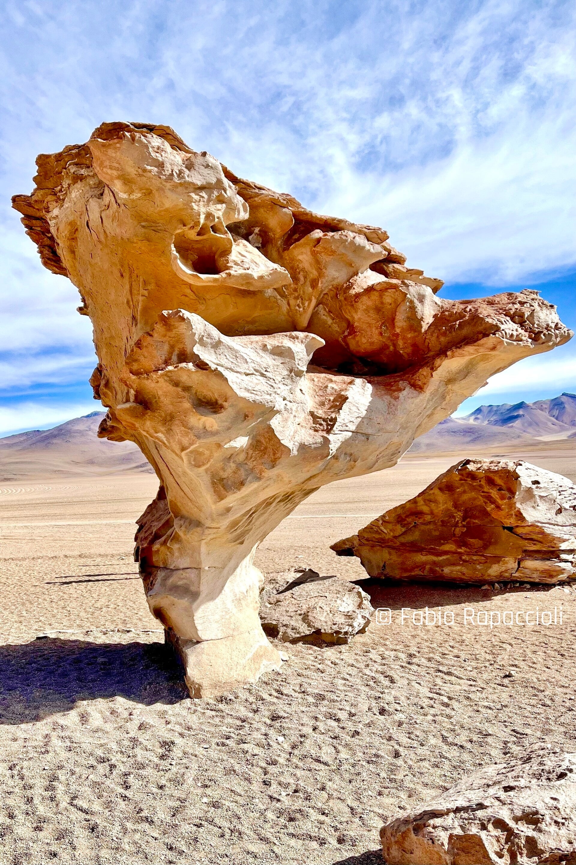 arbre de pierre dans le désert de Dali en Bolivie