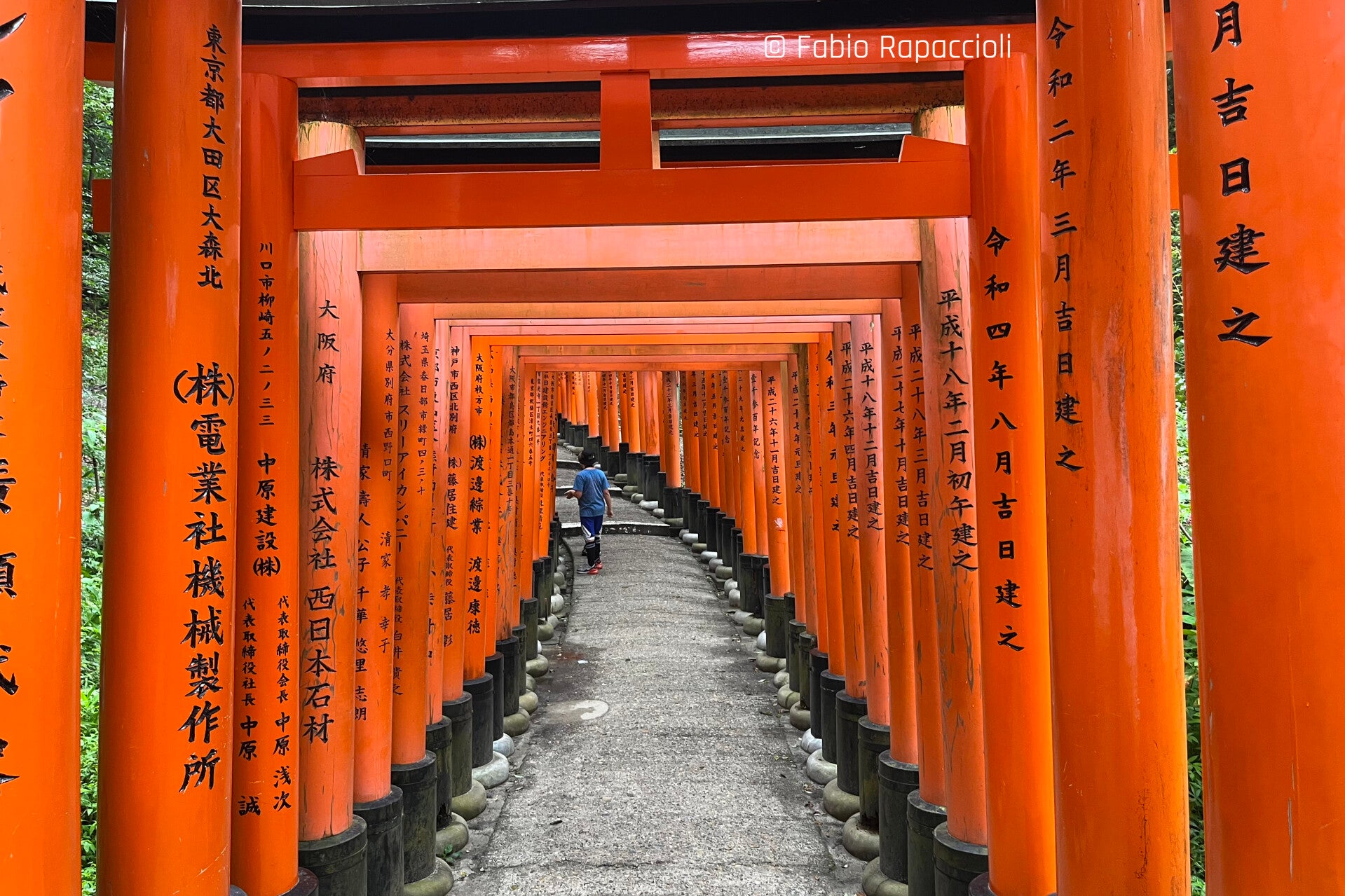 tunnel de toris au temple Fushimi Inari-tai