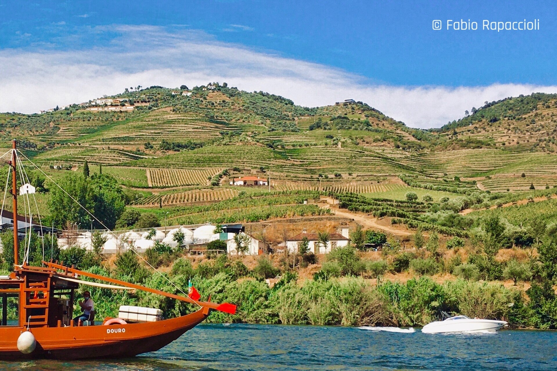 collines viticoles en terrasse de la vallée du Douro au Portugal