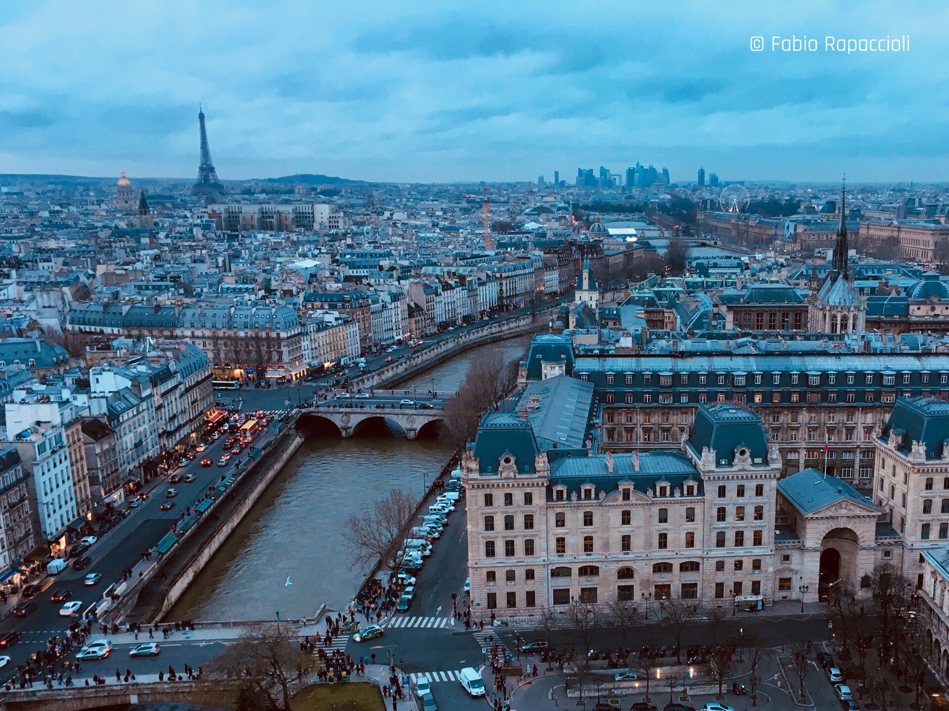 vue panoramique de Paris des toits de Notre-Dame